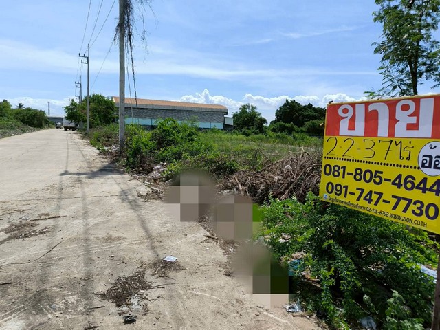 ขายที่ดิน 2-2-37 ไร่ แถวนาดี คลองมะเดื่อ กระทุ่มแบน สมุทรสาคร