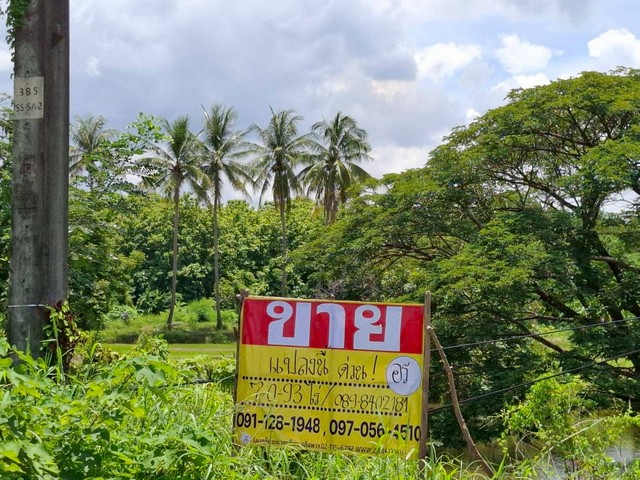 ขายที่ดินติดถนน หนองคายโพนพิสัย 7-0-93 ไร่ บ้านเดื่อ หนองคาย