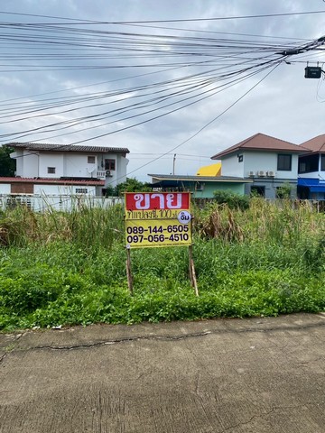 ขายที่ดิน 100ตารางวา สวัสดิการ2 ซอย18 ถนนเพชรเกษม ซอย77