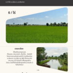 ที่ดินยกแปลง 6 ไร่ เหมาะทำร้านอาหาร คาเฟ่ จ.ฉะเชิงเทรา