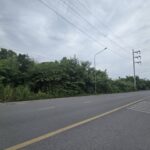 ขายที่ดินเปล่า 8-3-73.3 ไร่ ถนนสวนพริกไทย เมืองปทุมธานี ใกล้วัดเส