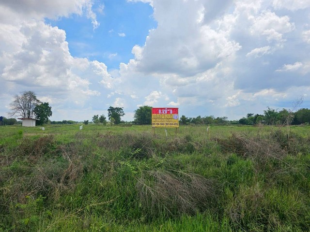 เช่าที่สวยถมแล้ว 4-2-35 ไร่ ติดถนนพล-แวงใหญ่ อ.พล จ.ขอนแก่น