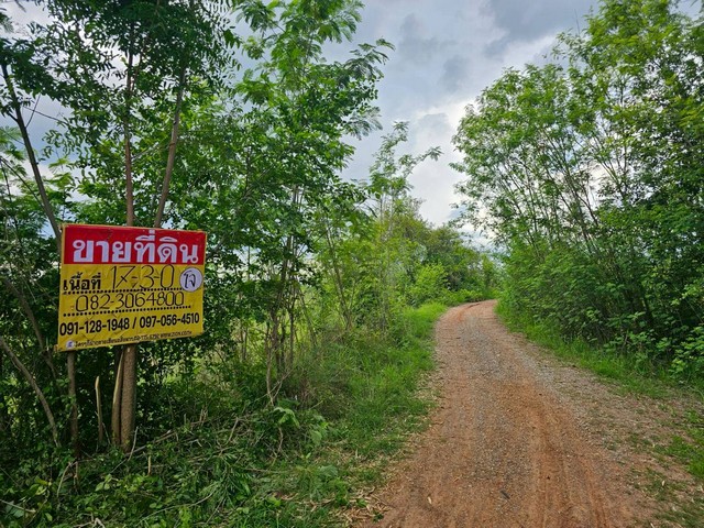 ขายที่ดินพร้อมไร่อ้อย 17-3-0 ไร่ บ.ทุ่งแค อ.พล จ.ขอนแก่น