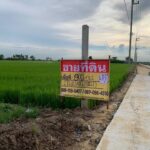 ขายด่วนที่ดินสวย 2 ไร่ ลำลูกกาคลอง10 ใกล้สนามฝึกขี่ม้า ปทุมธานี