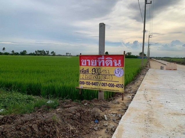 ขายด่วนที่ดินสวย 2 ไร่ ลำลูกกาคลอง10 ใกล้สนามฝึกขี่ม้า ปทุมธานี