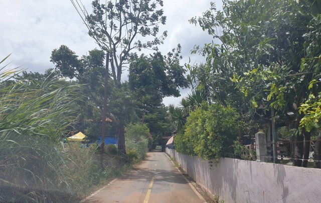 ที่ดินพร้อมบ้านพักอาศัย 7 ไร่ เขาใหญ่ ร่มรื่นเป็นส่วนตัว