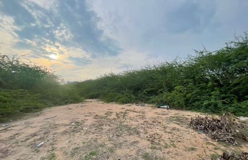 ขายที่ดิน 10-0-90 ไร่ ถนนคลองเทียน ชะอำ เพชรบุรี