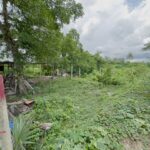 ที่ดินปากเกร็ด 85 ตร.วา ทำเลดี ราคาต่ำกว่าตลาด ปากเกร็ด นนทบุรี