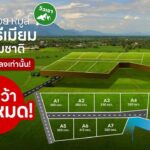โอกาสทอง! ที่ดินทำเล “หมูสี – ปากช่อง – เขาใหญ่”