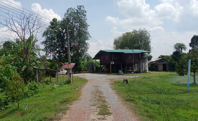 ขายที่ดินสวนทุเรียนจังแพร่ ขายที่ดินวังชิ้นแพร่