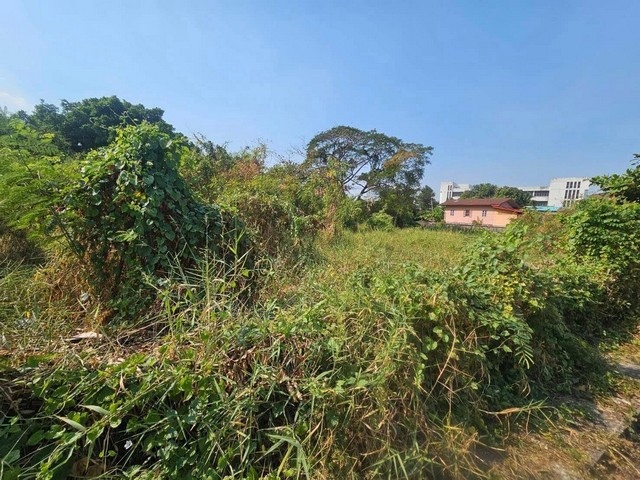 ขายที่ดินลาดพร้าว101 ซอย7 ใกล้เคียงตลาดนครไท