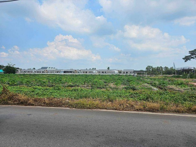 ขายที่เปล่าติดถนนหลักห้า..อำเภอดำเนินสะดวกราชบุรี ติดถนนเทศบาลหลั