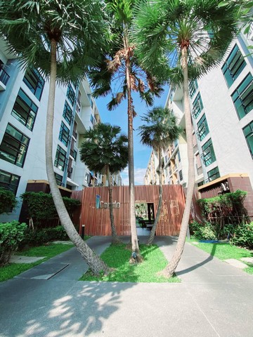 ขายไอคอนโดสุขุมวิท 105 ขายคอนโดลาซาลสุขุมวิท ห้องติดฝั่งเมือง