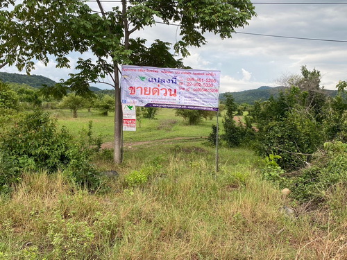 ที่ดิน(นส.3ก) 44 ไร่ ต.ม่วงค่อม อ.ชัยบาดาล จ.ลพบุรี