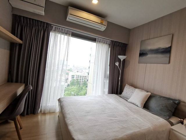 Whizdom Connect clean nice