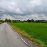 ขายที่ดิน2 ไร่ ใกล้มหาวิทยาลัยศรีนครินทรวิโรฒองครักษ์ คลอง16 องคร