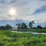 ขายที่ดินติดคลองรังสิต-นครนายก คลอง14