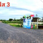 ขายที่ดินองครักษ์ คลอง 15 (ตลาดขายต้นไม้)