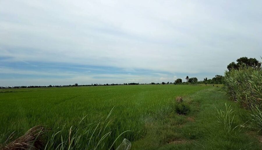 ขายที่ดิน แปลงใหญ่สวย ติดถนนสาย 347 ปทุมธานี-บางปะหัน ต.บางประแดง อ.บางประอิน อยุธยา กม. 29-30 โทร 095-8299247