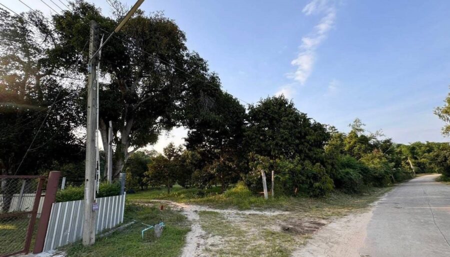 ขายด่วน ลดราคา ที่ดินสวนทุเรียนเมืองระยอง วิวภูเขา ติดแหล่งน้ำธรรมชาติ ใกล้ทะเล เนื้อที่ 4 ไร่กว่า โทร 0852619111 เจ้าของขายเอง