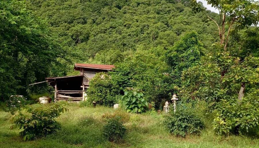 ขายด่วน! ที่ดินเปล่า ทำเลดี ใกล้เมืองนครสวรรค์ เนื้อที่ 160 ตร.ว. โทร 092-6869618