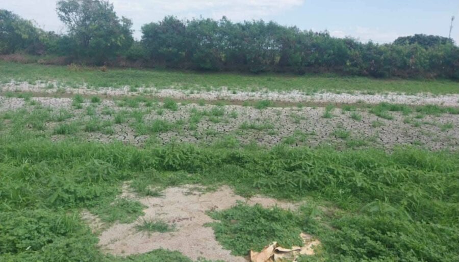 ขายด่วน! ลดกระหน่ำ ถูกสุดๆ ขายที่ดินราคาพิเศษ อ.บางเสาธง จ.สมุทรปราการ สวย ทำเลดี Tel. 092-6869618