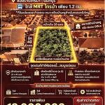 ขายที่ดิน 200 ตร.ว. ใกล้ MRT ไทรม้า | ผังสีน้ำตาล ย.8 | เหมาะทำอพาร์ทเมนต์ / โฮมออฟฟิศ