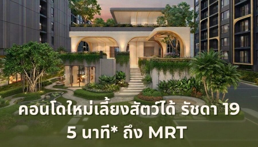 เดอะ เบส รัชดา 19 คอนโดเลี้ยงสัตว์ได้ เดินทางสะดวก ใกล้ MRT รัชดาภิเษก โทร 065-4496399