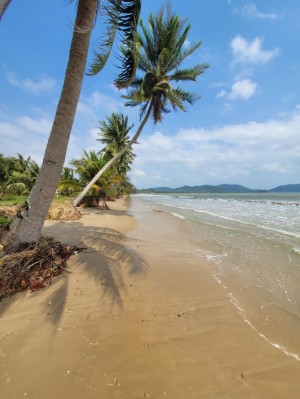 ที่ดิน ขาย หาดส่วนตัวอ่าวทุ่งมะขาม ติดทะเลชุมพรใกล้แหล่งท่องเที่ยว รีสอร์ท เหมาะทำโรงแรม ที่ดินติดทะเลชุมพร-หาดขาวสะอาด