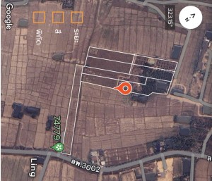ขาย ที่ดิน ตำบลป่าสัก ขายที่ดินอำเภอเมืองลำพูนราคาถูก ใกล้แหล่งชุมชน-ตลาด-ห้าง-โรงพยาบาล เจ้าของขายเอง ติดถนนบ้านบูชา-ป่าสัก