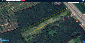 ที่ดิน ขาย อสังหาพัทลุงราคาคุ้มสุด ติดถนนเพชรเกษม ที่ดินพัทลุงราคาถูก ที่ดินป่าบอนถูกกว่าใกล้เคียง พร้อมไฟฟ้าน้ำประปา