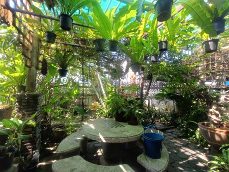 ขาย บ้าน บ้านมือสองลาดพร้าวโชคชัย4 สะดวกเดินทางหลายทาง เกษตรนวมินทร์–เอกมัย–รามอินทรา เลียบด่วน ใกล้โรงพยาบาลเปาโลโชคชัย4