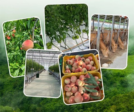 บริการ ประกาศ งานสวนประเทศเกาหลีใต้ รับสมัครงานต่างประเทศด่วน จัดหางานต่างประเทศ งานสวนประเทศออสเตรเลีย รายได้ดีมาก