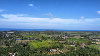ที่ดิน ขาย ขายที่ดินใกล้หาดนาใต้ไม่เกินล้าน ใกล้สนามบินภูเก็ตใกล้ทะเล ที่ดินเปล่าโคกกลอยโฉนดพร้อมโอน เหมาะทำบ้านพักตากอากาศ ซื้อที่ดินโคกกลอยเจ้าของขายเอง
