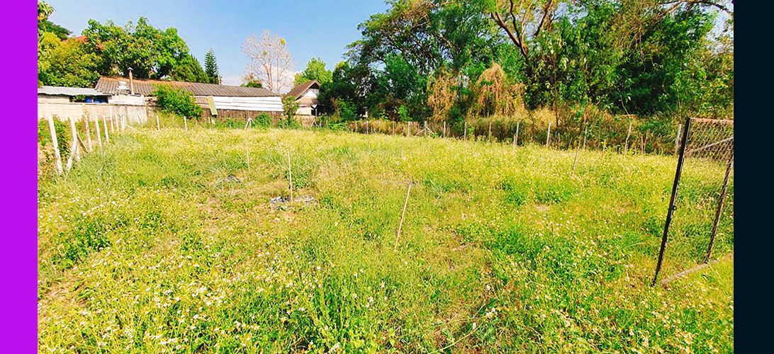 ประกาศ ขาย เหมาะสำหรับสร้างบ้านสร้างบ้านเช่า ที่ดินเชียงใหม่ยินดีรับนายหน้าป่าแดด อยู่ในโซนที่มีความต้องการที่อยู่อาศัยสูง อพาร์ตเมนต์หรือทำโฮมออฟฟิศ ติดซอยเข้าถึงง่าย