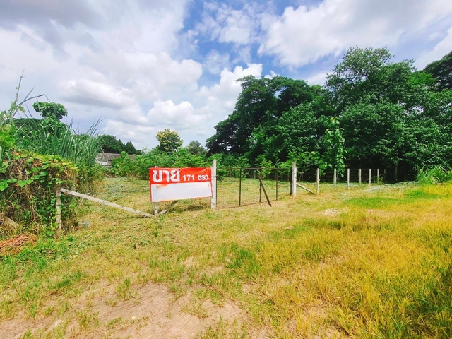 ที่ดิน ขาย ยินดีรับนายหน้า บ้านป่าพร้าวนอกซอย6วงแหวนรอบ1 เหมาะสร้างบ้านเช่าทำออฟฟิศ เหมาะสร้างบ้านอพาร์ตเมนต์หอพัก ใกล้ทั้งเมืองสนามบินและศูนย์การค้า