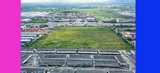 ที่ดิน ขาย ที่ดินชลบุรี30ไร่ ใกล้โลตัสบ้านบึง เหมาะทำหมู่บ้าน ราคาถูกสุด ติดถนน344